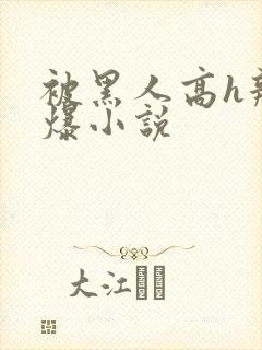 被黑人高h辣文爆小说