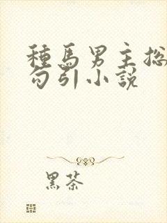 种马男主总是被勾引小说