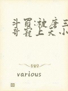 斗罗:被唐三哥哥宠上天小说全部章节