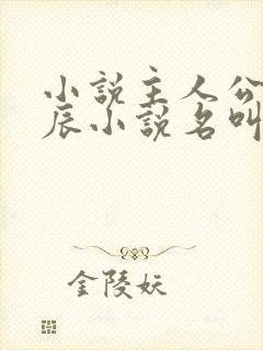 小说主人公叫叶辰小说名叫什么