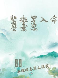 紫微星入命是什么意思