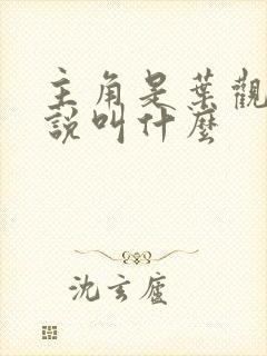 主角是叶观的小说叫什么