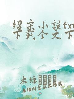 绍宋小说txt下载全文下载