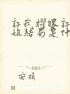 许我耀眼许妍姐姐结局是什么