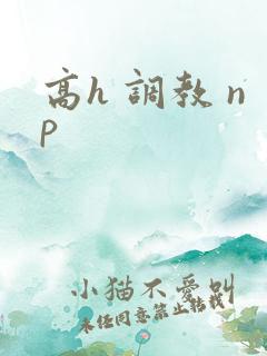 高h 调教 np