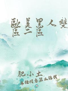 欧美黑人双插一区二区