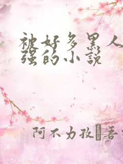 被好多黑人一启强的小说