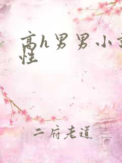 高h男男小说双性