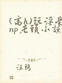 (高h)玩淫受np老头小说