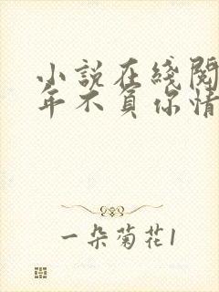 小说在线阅读流年不负你情深