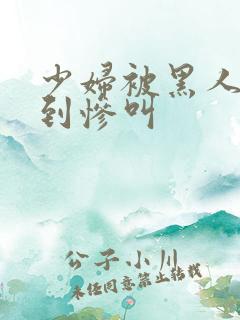 少妇被黑人4p到惨叫