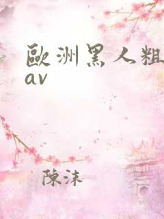 欧洲黑人粗大的av