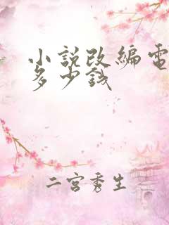 小说改编电视剧多少钱