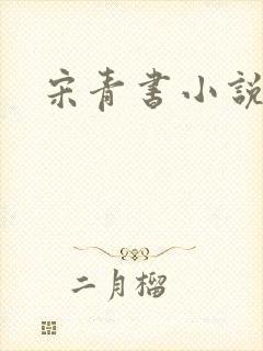 宋青书小说