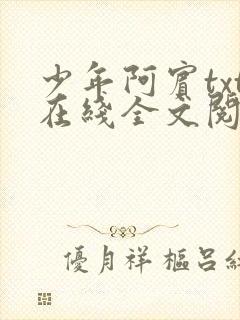 少年阿宾txt在线全文阅读