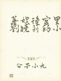 华娱后宫里面有刘晓莉的小说