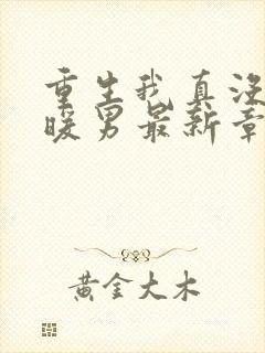 重生我真没想当暖男最新章节