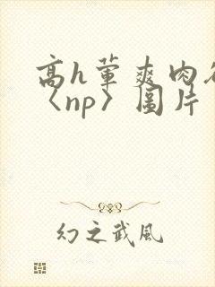 高h荤爽肉欲文〈np〉图片