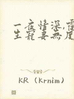 一夜情深,霍先生宠妻无度网络小说