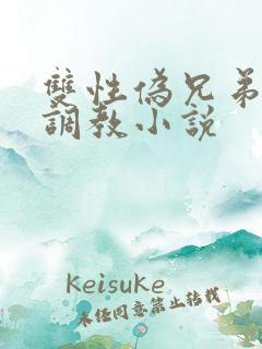 双性伪兄弟年上调教小说