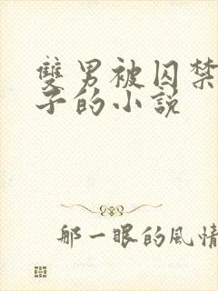 双男被囚禁还生子的小说