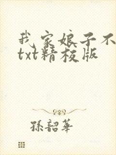 我家娘子不对劲txt精校版