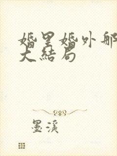 婚里婚外那些事大结局