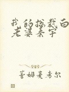 我的总裁白富美老婆秦宇