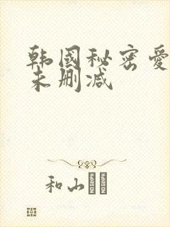 韩国秘密爱电影未删减