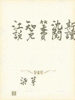 江知笑沈斯礼小说免费阅读