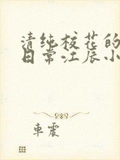 清纯校花的被宠日常江辰小说