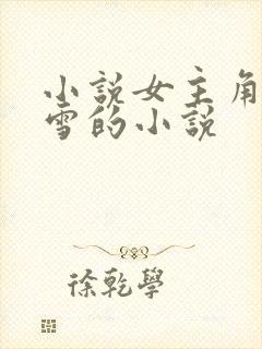 小说女主角叫夏雪的小说