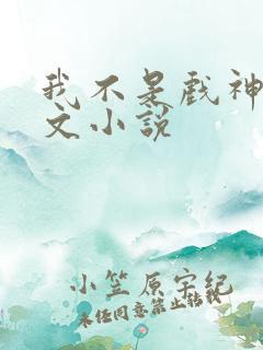 我不是戏神同人文小说