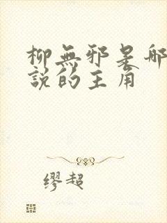 柳无邪是哪本小说的主角