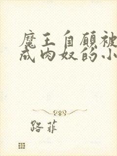 魔王自愿被调教成肉奴的小说