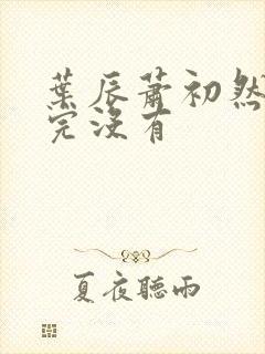 叶辰萧初然更新完没有