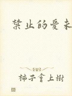 禁止的爱未删减