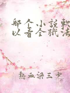 哪个小说软件可以看全职法师小说