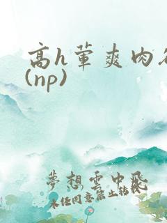 高h荤爽肉欲文(np)