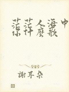 茫茫人海中遇见你什么歌