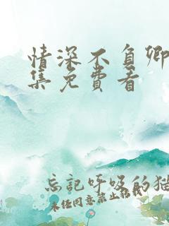 情深不负卿心全集免费看