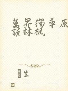 万界独尊原著小说林枫