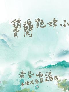 销魂艳婢小说免费阅