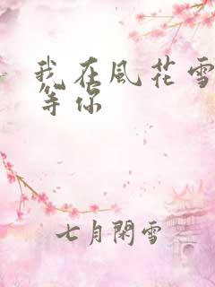 我在风花雪月中等你