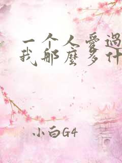 一个人爱过我给我那么多什么歌