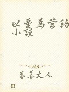 以爱为营的原著小说