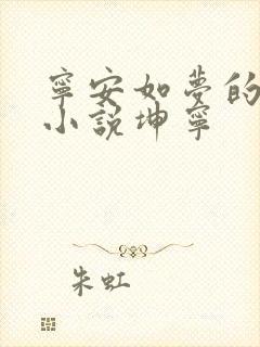 宁安如梦的原著小说坤宁