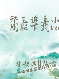 邪王追妻小说未删版下载txt