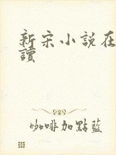 新宋小说在线阅读