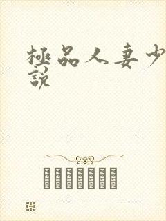 极品人妻少妇小说